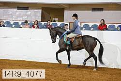 14r9_4077 proof