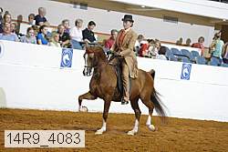 14r9_4083 proof