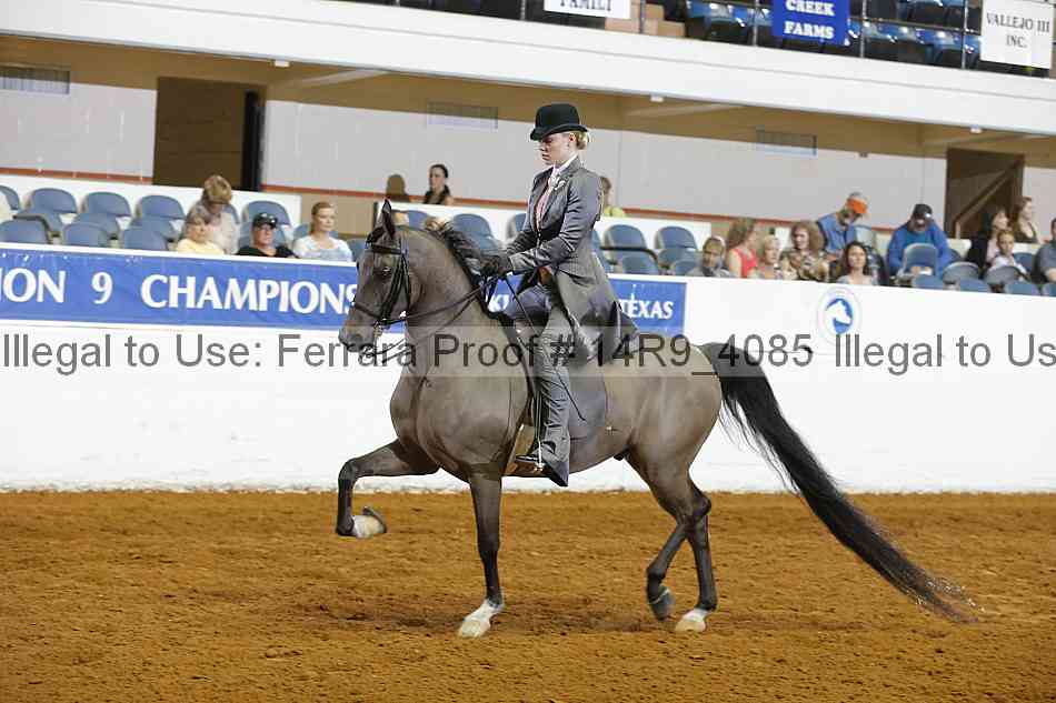 Proof 14r9_4085