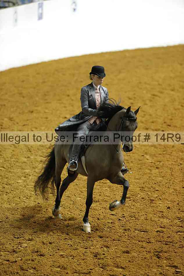 Proof 14r9_4093