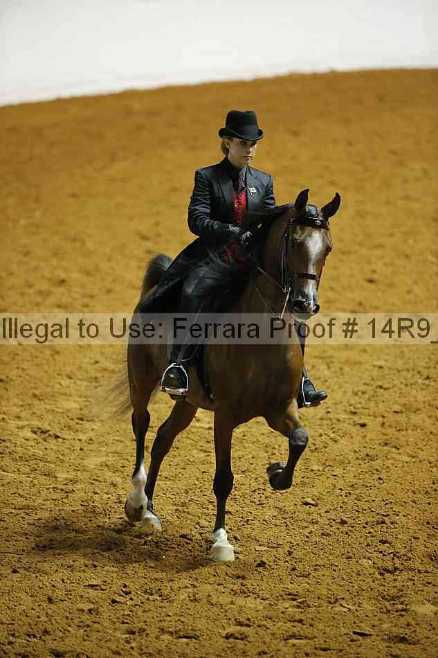 Proof 14r9_4096