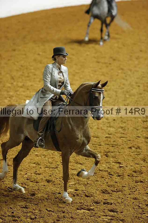 Proof 14r9_4102