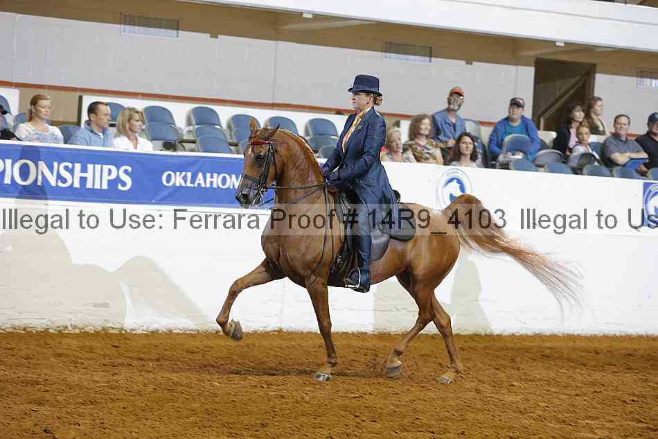 Proof 14r9_4103