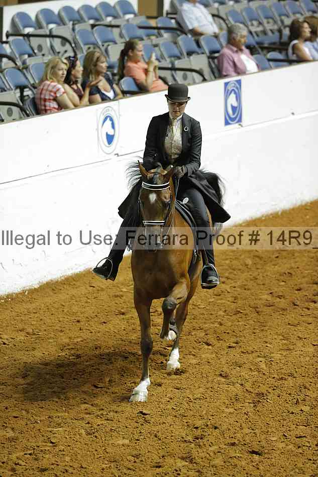 Proof 14r9_4117