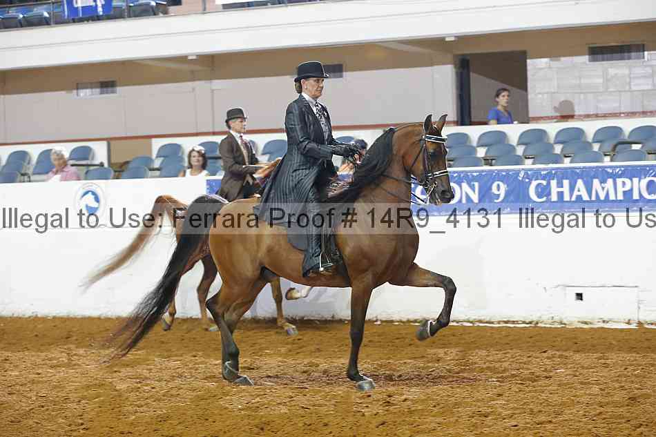 Proof 14r9_4131