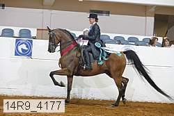 14r9_4177 proof