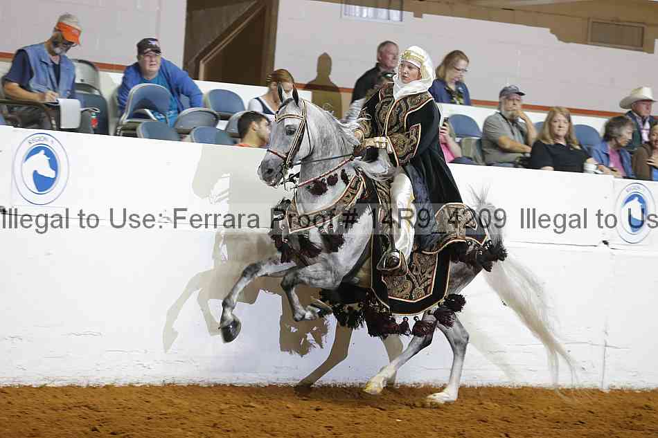 Proof 14r9_4209