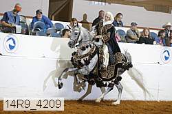 14r9_4209 proof
