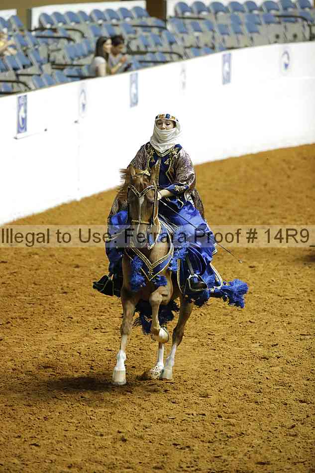 Proof 14r9_4211