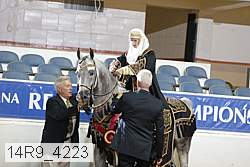 14r9_4223 proof