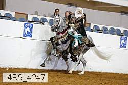 14r9_4247 proof