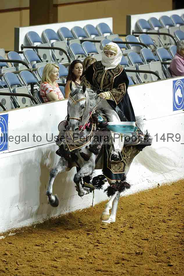 Proof 14r9_4251