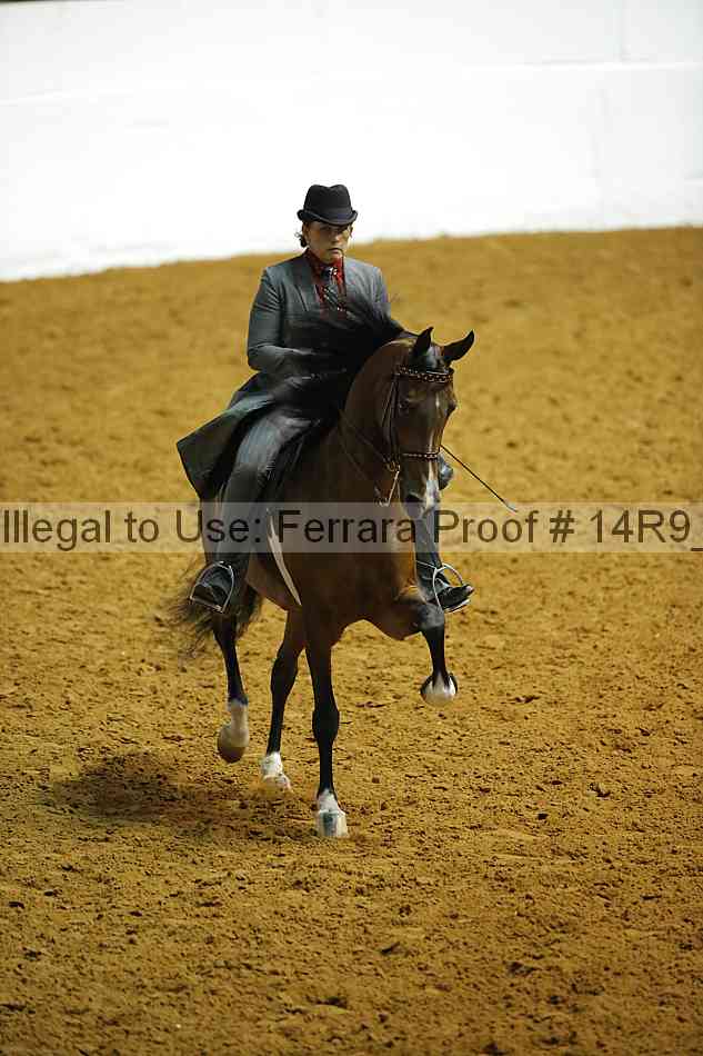 Proof 14r9_4267