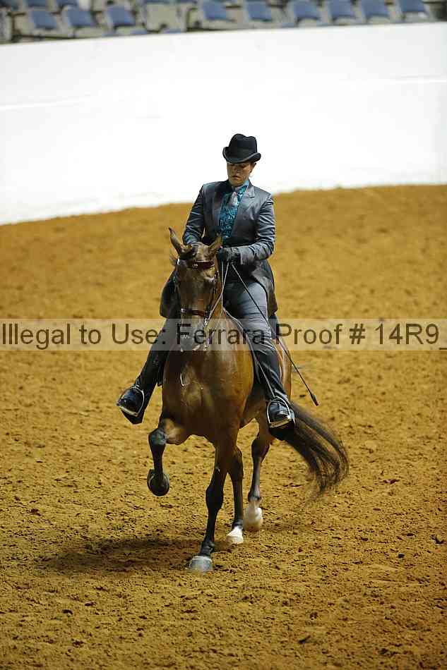 Proof 14r9_4269