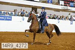 14r9_4272 proof