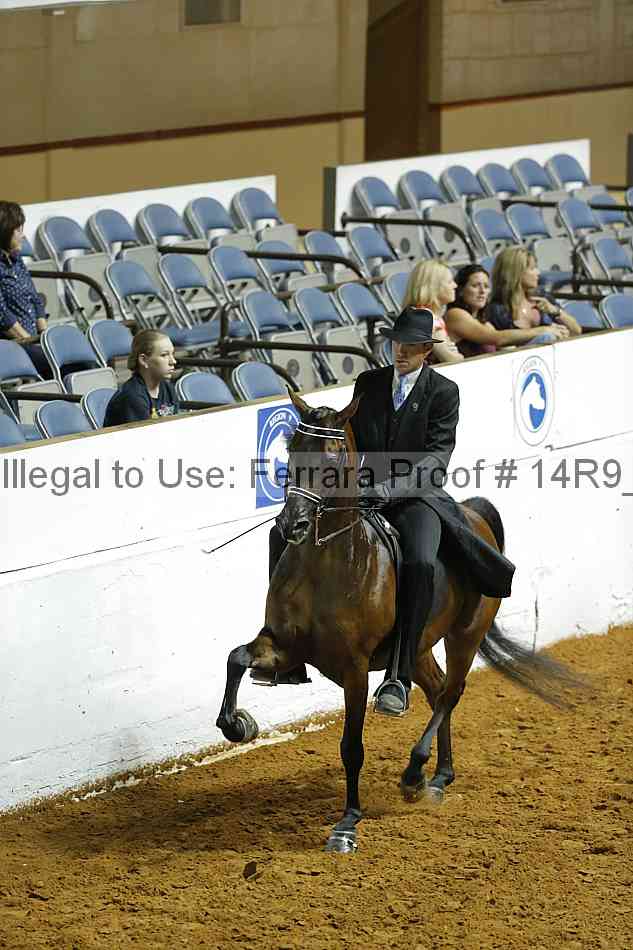 Proof 14r9_4293