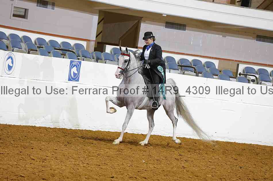 Proof 14r9_4309