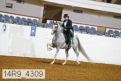 14r9_4309 proof