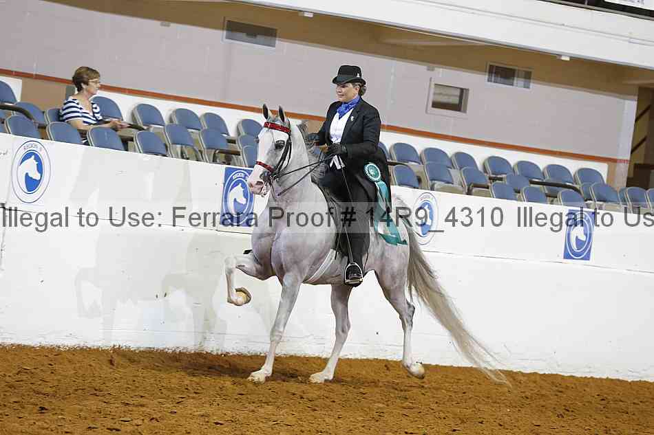 Proof 14r9_4310