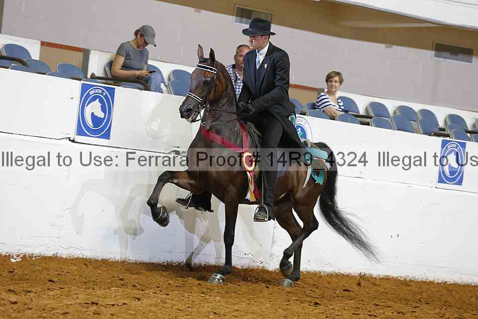 Proof 14r9_4324