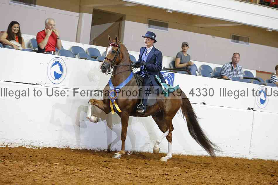 Proof 14r9_4330