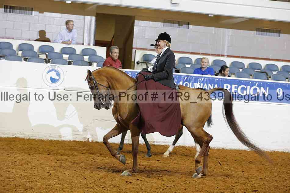 Proof 14r9_4339