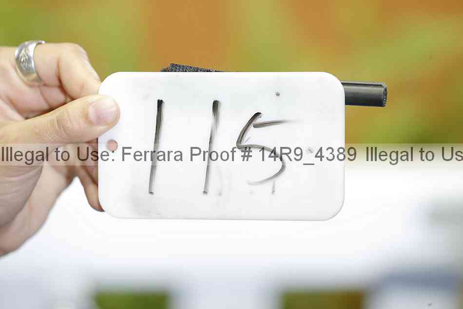 Proof 14r9_4389