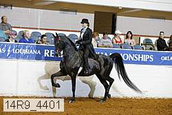 14r9_4401 proof