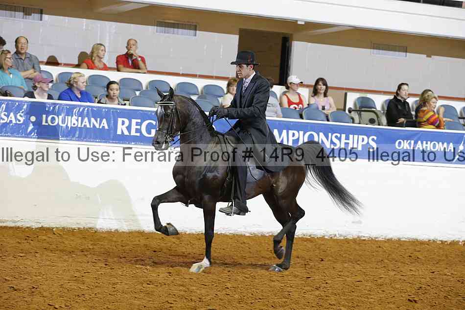 Proof 14r9_4405
