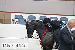 14r9_4445 proof