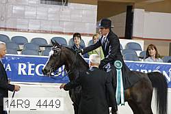 14r9_4449 proof