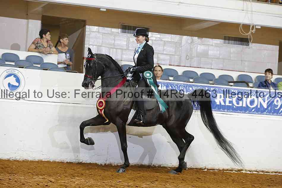 Proof 14r9_4463