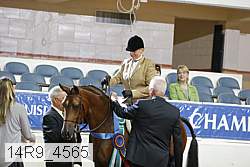 14r9_4565 proof