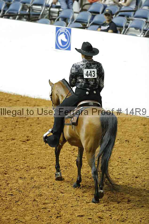 Proof 14r9_4606