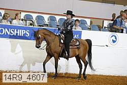 14r9_4607 proof
