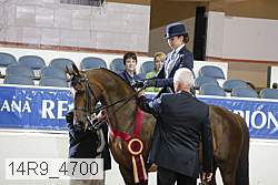 14r9_4700 proof
