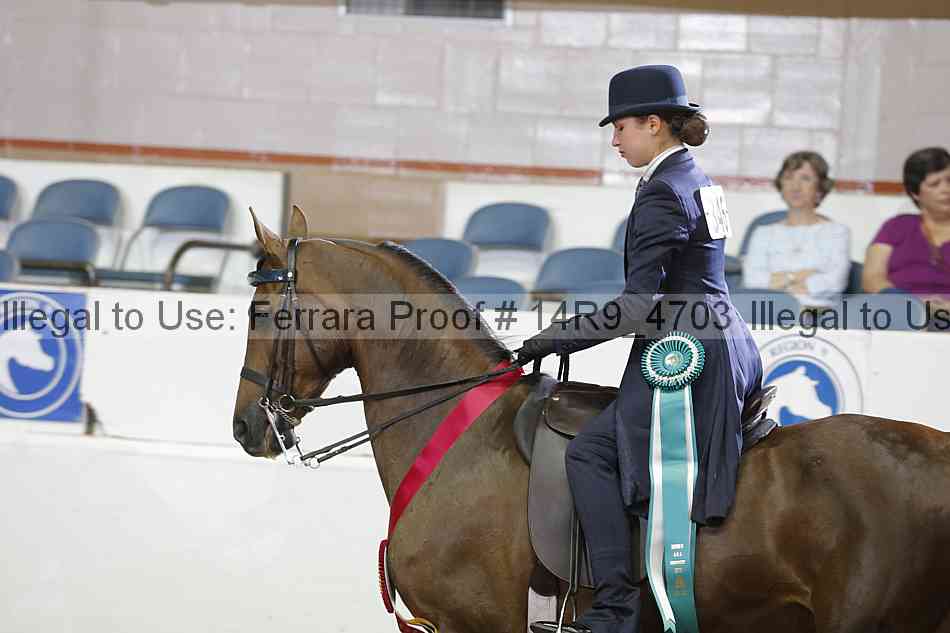 Proof 14r9_4703