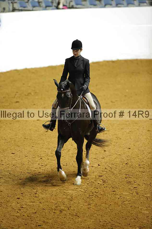 Proof 14r9_4834