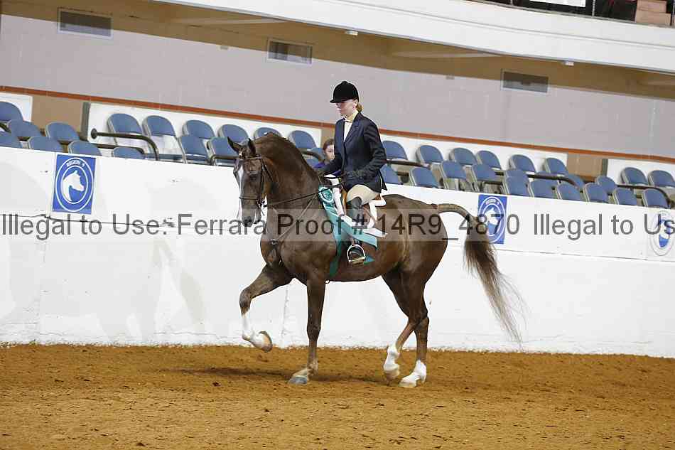 Proof 14r9_4870