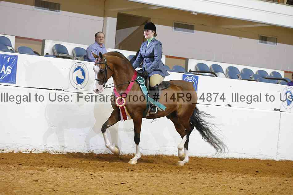 Proof 14r9_4874