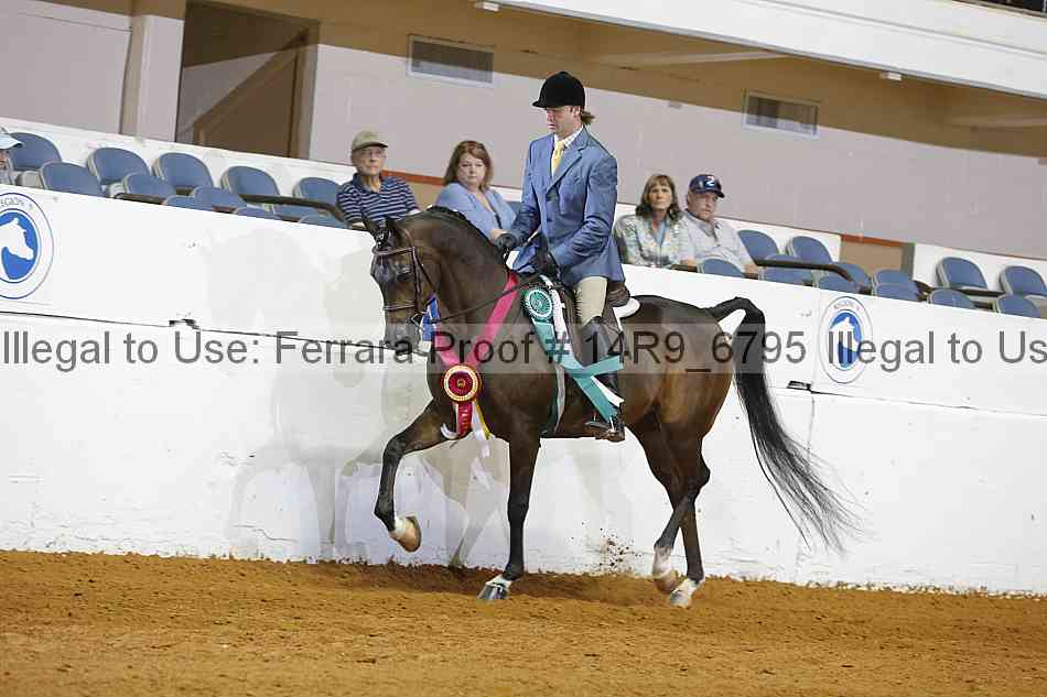 Proof 14r9_6795