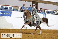 14r9_4900 proof