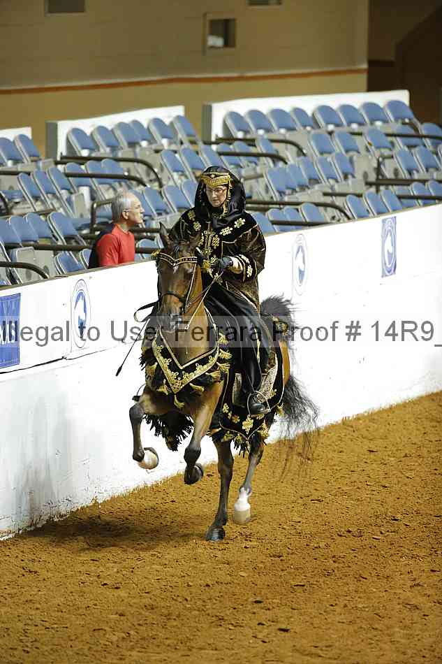 Proof 14r9_4909