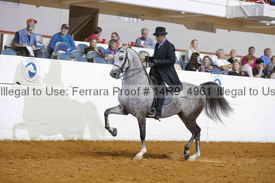 Proof 14r9_4961