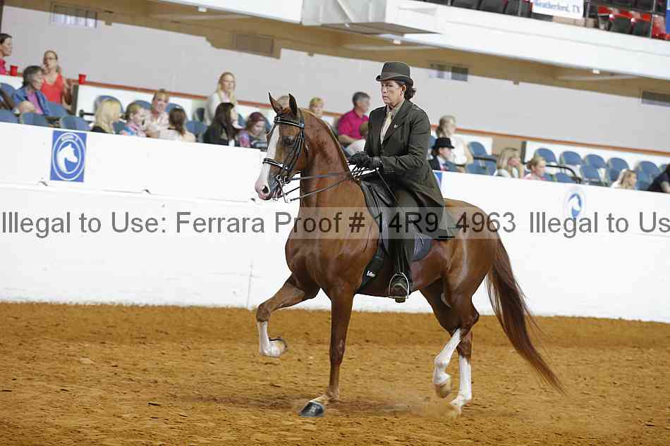 Proof 14r9_4963
