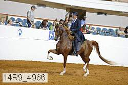 14r9_4966 proof