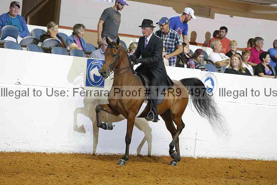 Proof 14r9_4973