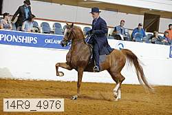 14r9_4976 proof