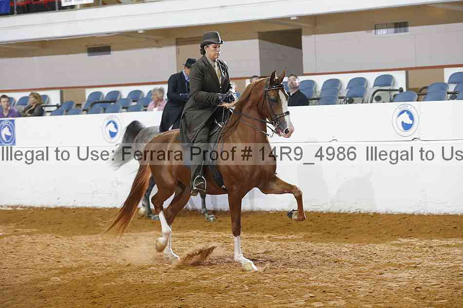 Proof 14r9_4986