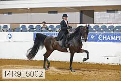 14r9_5002 proof